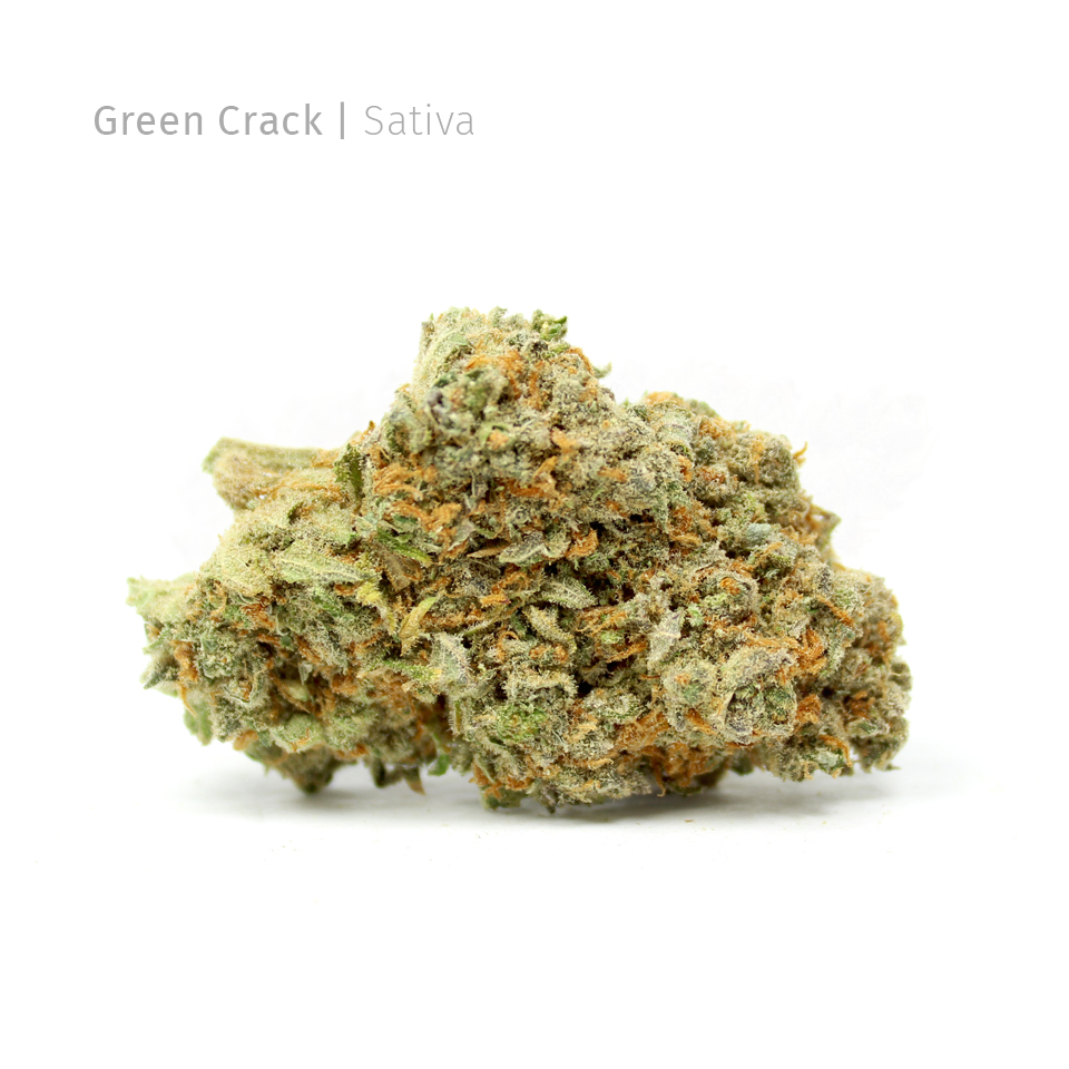 Green Crack Sativa